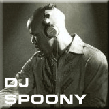 DJ Spoony