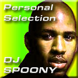 DJ Spoony