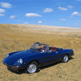 Alfa Romeo Spider