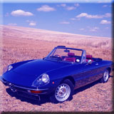 Alfa Romeo Spider