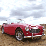 Austin Healey
